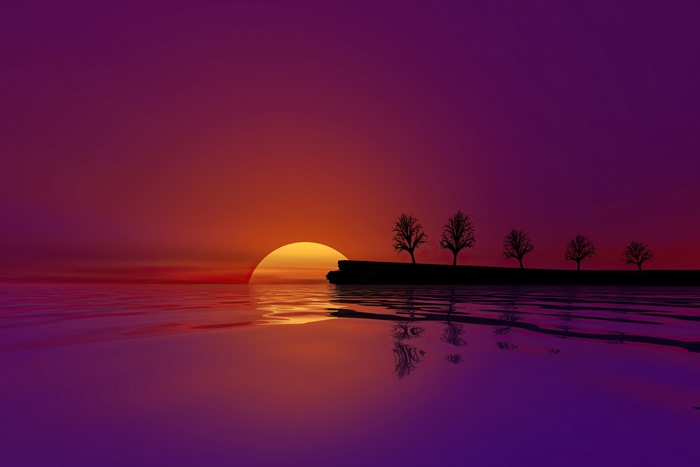 Minimalist sunset over water with trees