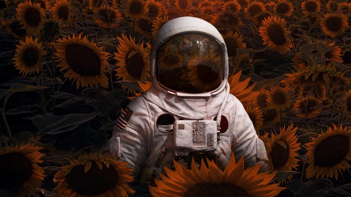 Astronaut in a sunflower field