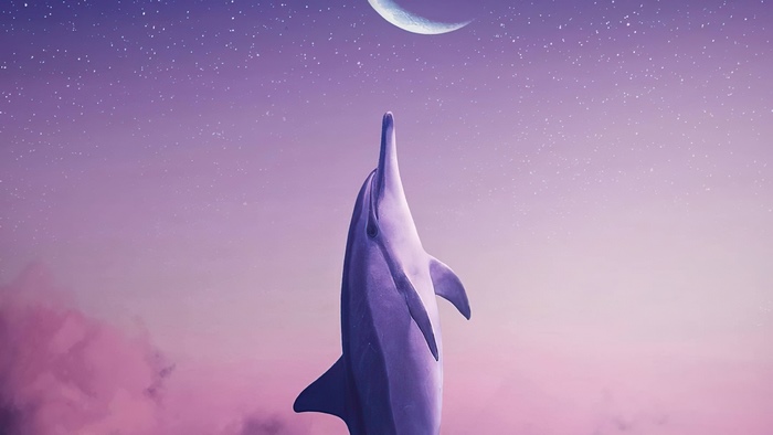 Dolphin leaping towards a crescent moon in a starry sky