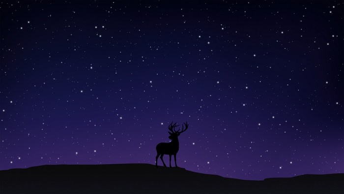 Deer silhouette under a starry night sky