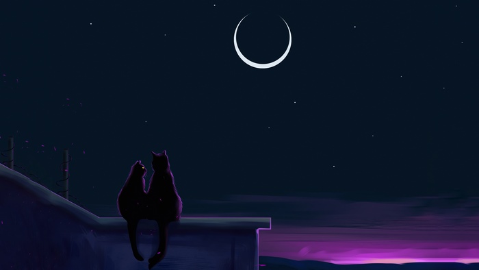 Two cats sitting on a rooftop at night under a crescent moon