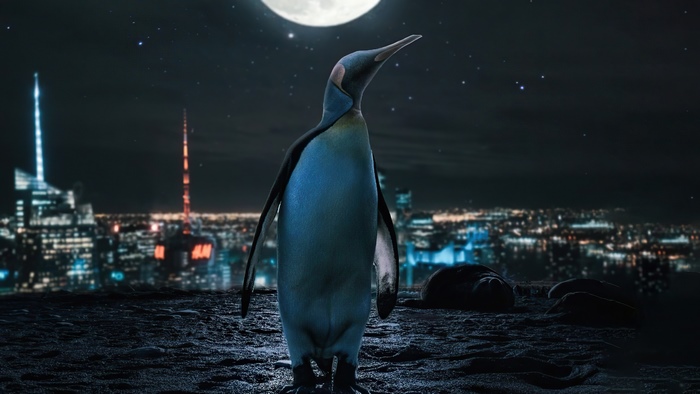 Penguin in front of a city skyline at night