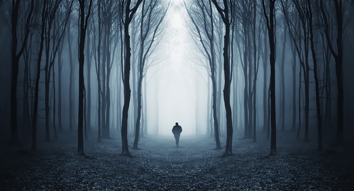 A person walks through a dark, foggy forest