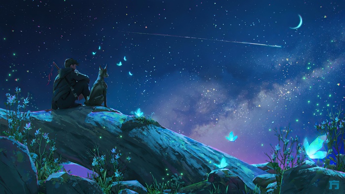 Man and dog watching starry night with butterflies