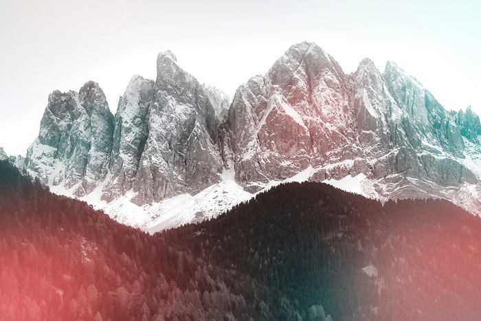 Snowy mountains with pine forest