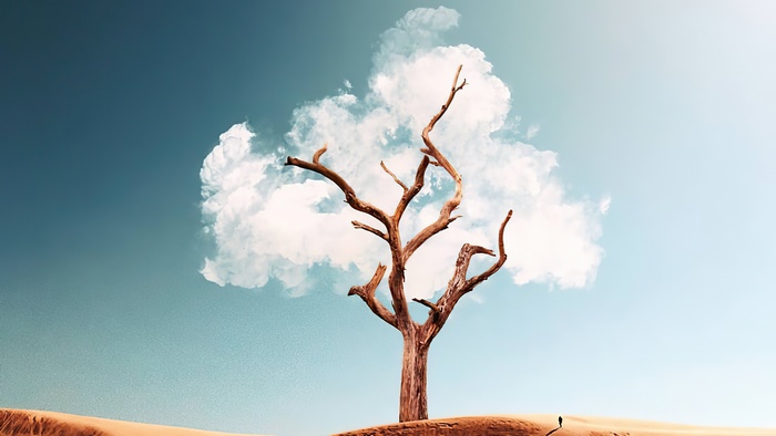 Dead tree with clouds in a desert landscape