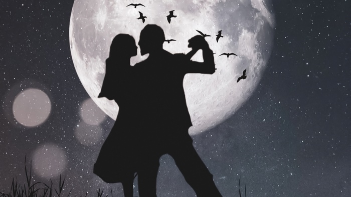 Couple dancing under the moon with birds