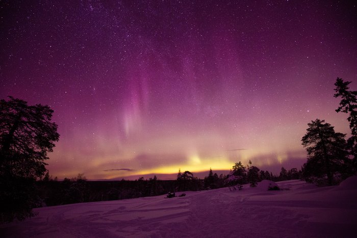 Aurora Borealis over a snowy forest landscape