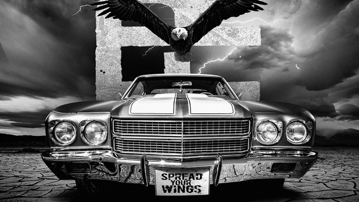 Eagle and classic car with "Spread Your Wings" license plate