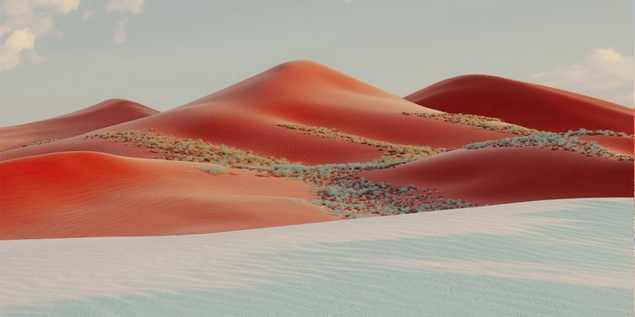 Red and white sand dunes with sparse vegetation