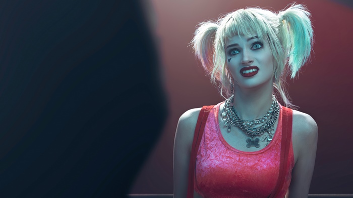 Harley Quinn from DC Comics