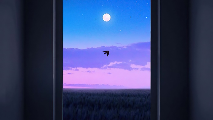 Bird flying in a colorful sky over a field