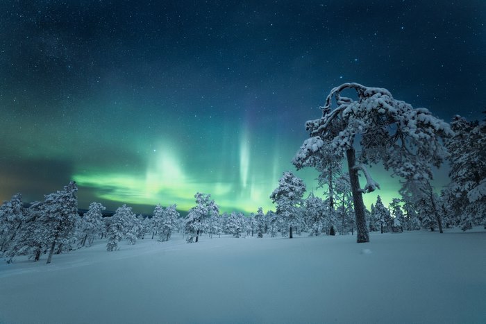 Aurora Borealis over snowy forest in Finland