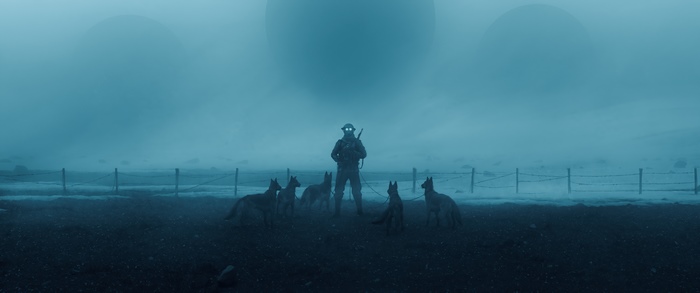 Soldier with dogs in a foggy landscape