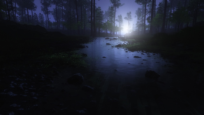 Night forest with a stream and light
