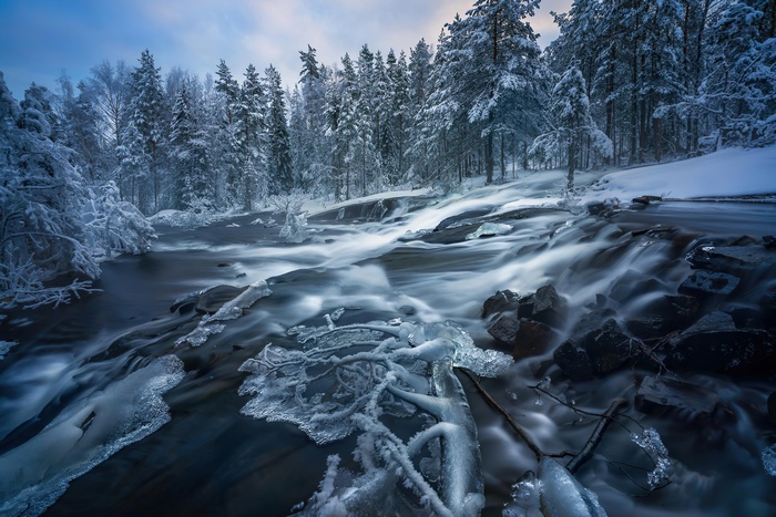 Snowy forest with a flowing river and ice