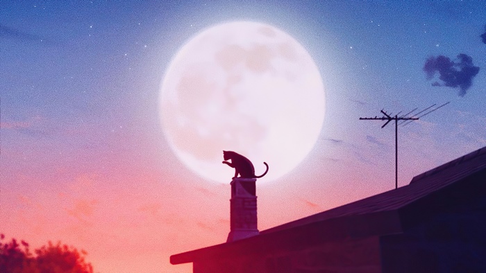 Cat on a chimney with a large moon