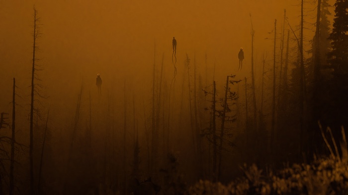 Three figures levitating in a smoky forest