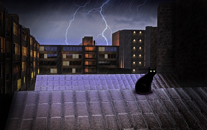 Black cat on a rooftop during a thunderstorm