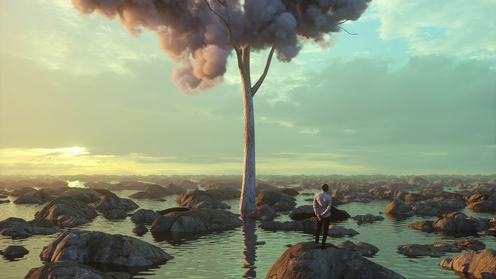 Man standing on rocks near a tree in a surreal landscape