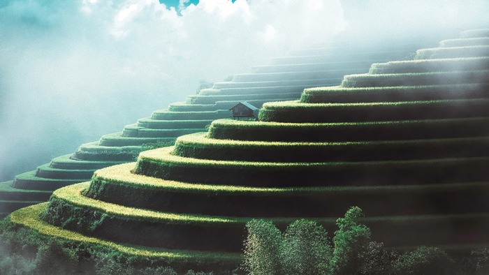 Terraced rice fields with a small hut