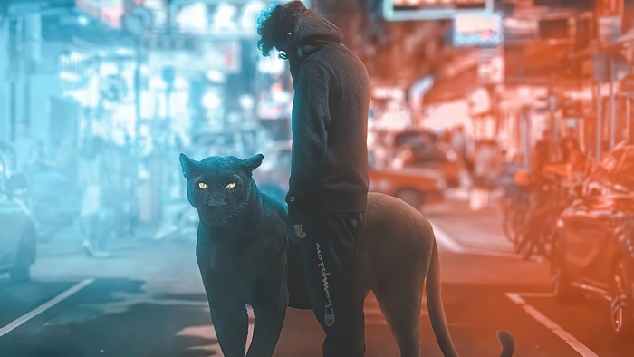 Digital art of a person with a black panther