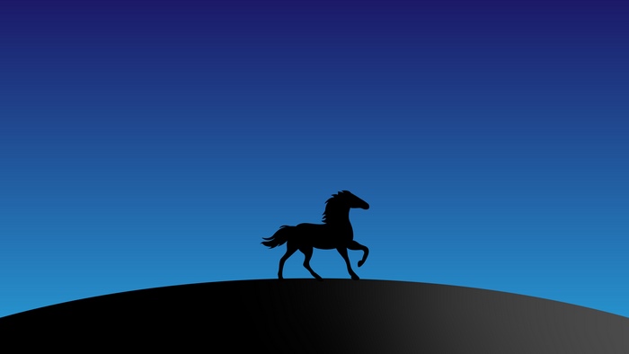 Silhouette of a horse on a hill