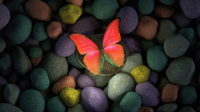 Digital art of a red butterfly on rocks 4K