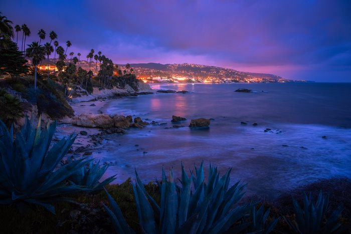 Coastal city lights at twilight with agave plants