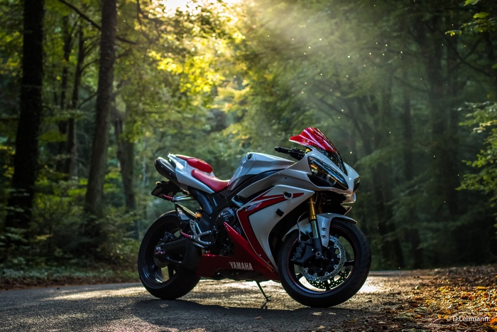 Yamaha R1 Motorcycle in Forest Sunlight