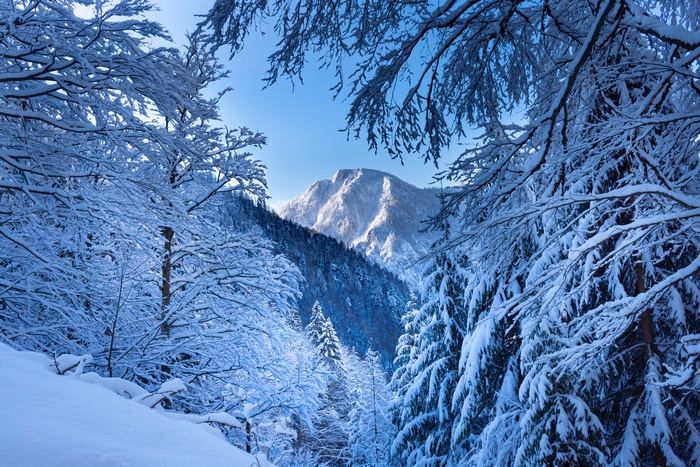 Snow-Covered Alps Mountains in Winter