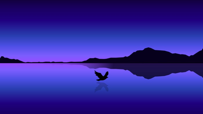 Minimalist bird flying over water at dusk