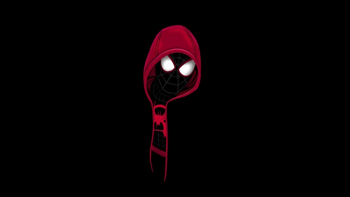 Miles Morales Spider-Man in Red Hoodie
