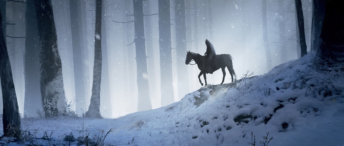 Person riding a horse in a snowy forest