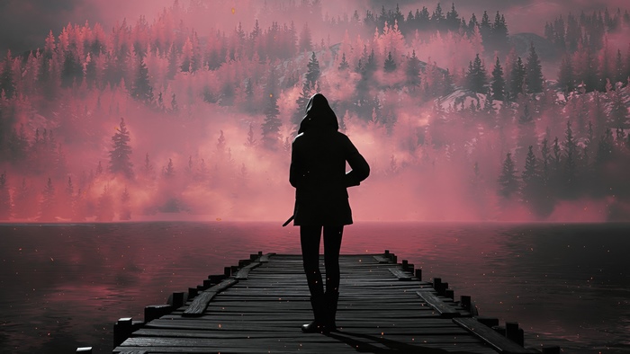 Person on a dock in front of a misty forest