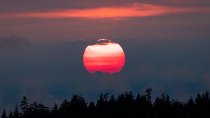 Sunset over a forest silhouette