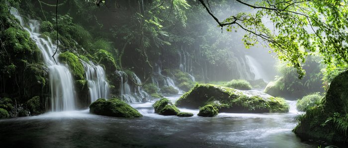 Waterfall in a Mossy Forest