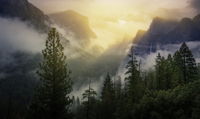 Yosemite National Park foggy sunrise with mountains and trees
