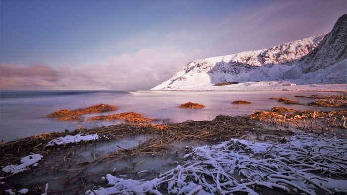 Snowy mountains and coastline with seaweed