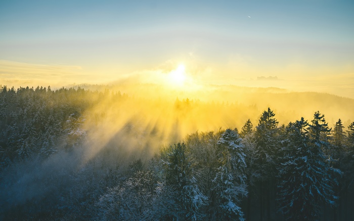 Sunrise over misty forest in winter, 4K