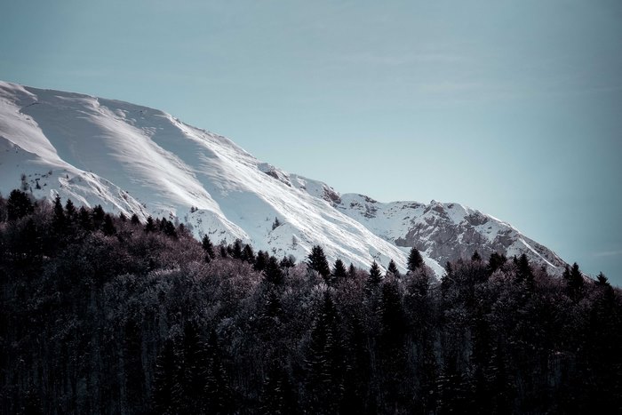 Snowy mountains and dark forest landscape