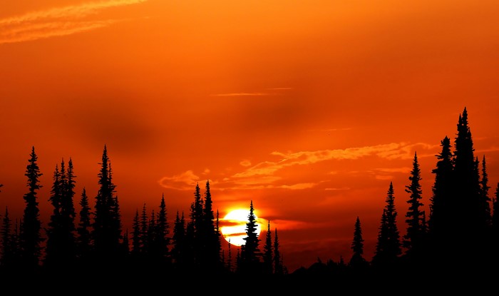 Sunset over a forest silhouette