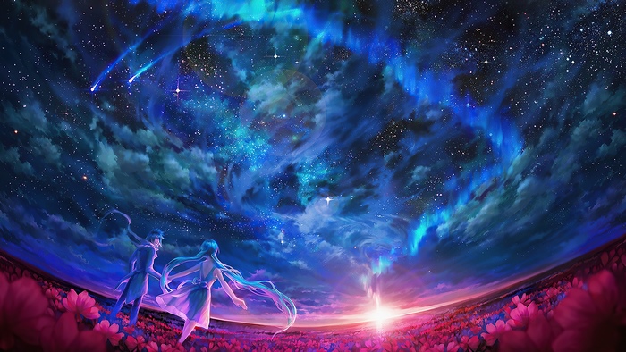 Couple in flower field under starry sky with aurora