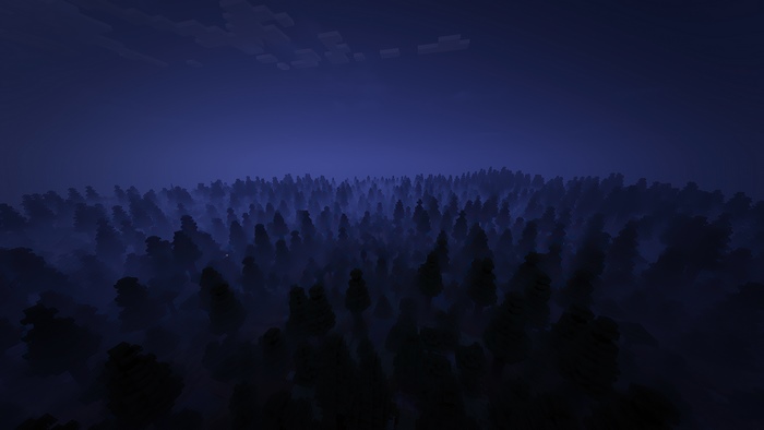 Minecraft forest at night 4K