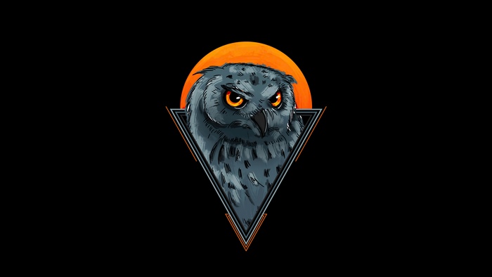 Minimalist owl artwork with orange sun and triangle