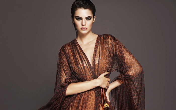 Kendall Jenner in a leopard print dress