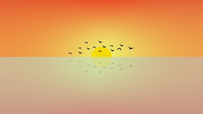 Minimalist flock of birds at sunset over water