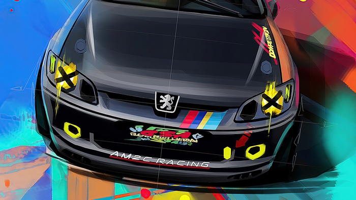 Peugeot 206 Competition AM2C Racing Artwork