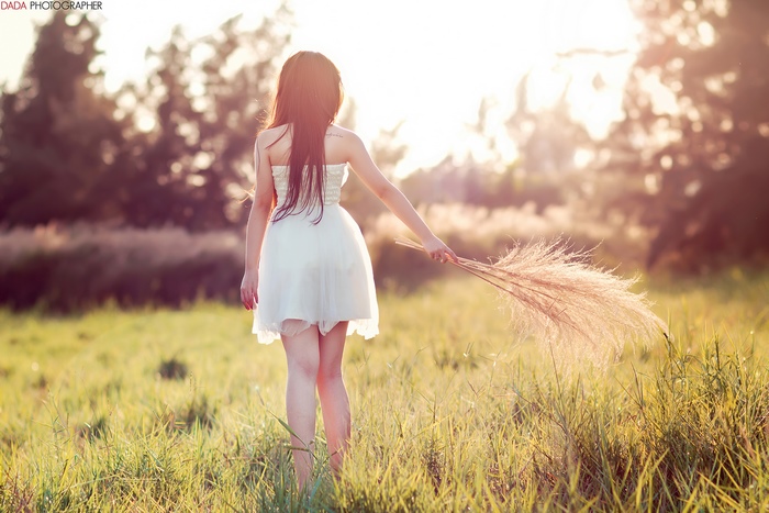 Girl in white dress holding reeds in a field