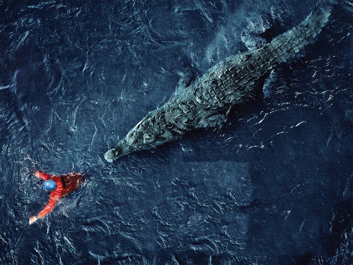 Man swimming near crocodile in dark water